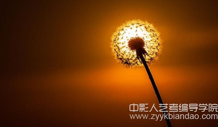 傳播學理論之沉默的螺旋.jpg