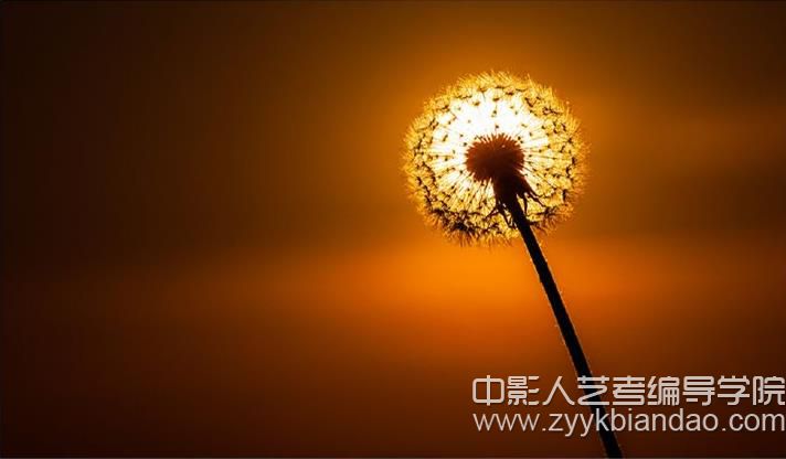編導培訓：群體傳播中的著名理論.jpg