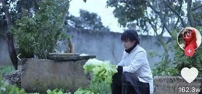 分鏡頭腳本創(chuàng)作