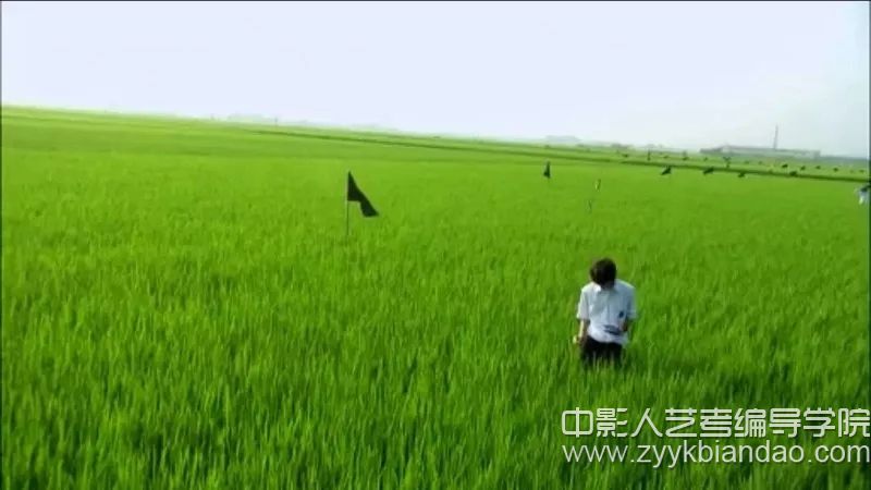 關于莉莉周的一切.webp.jpg