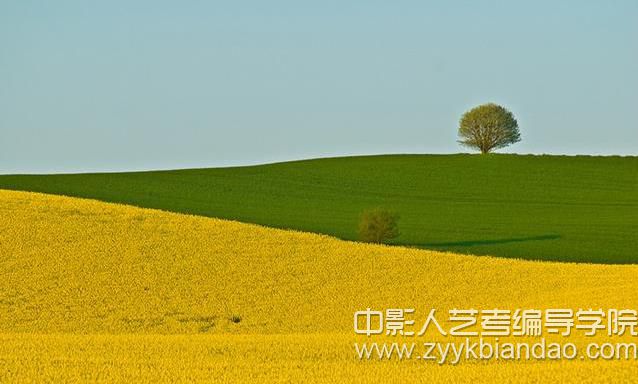 三分法則.jpg