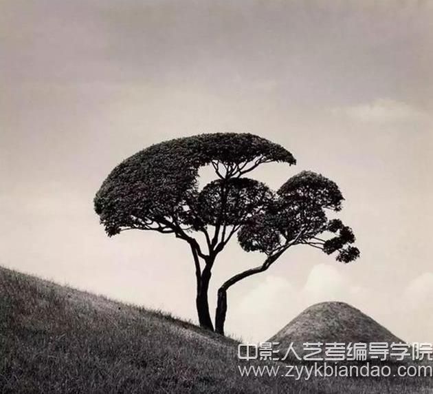 編導攝影攝像.jpg