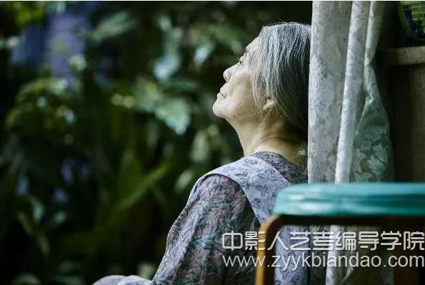 電影《小偷家族》.jpg