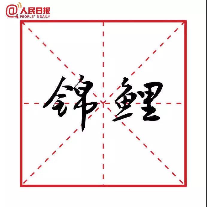 錦鯉
