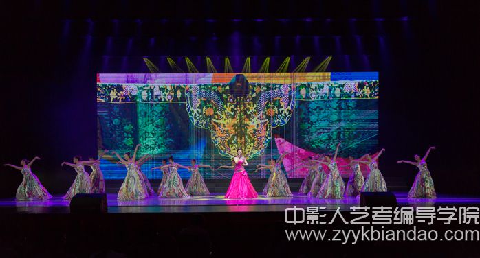 編導(dǎo)培訓(xùn)（南藝“非遺之光”演出）1.jpg